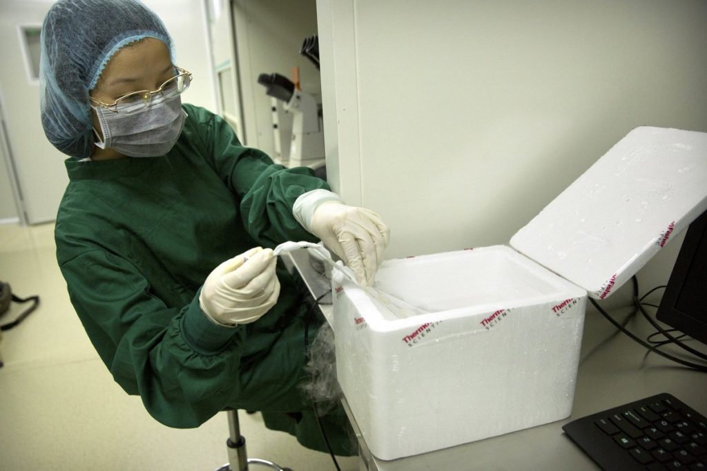 Investigation follows claims of first gene-edited babies