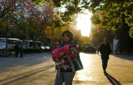 Chinese city bans dog walking in daylight hours