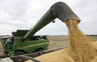 China says it will buy more soybeans, but American farmers see a bleak future