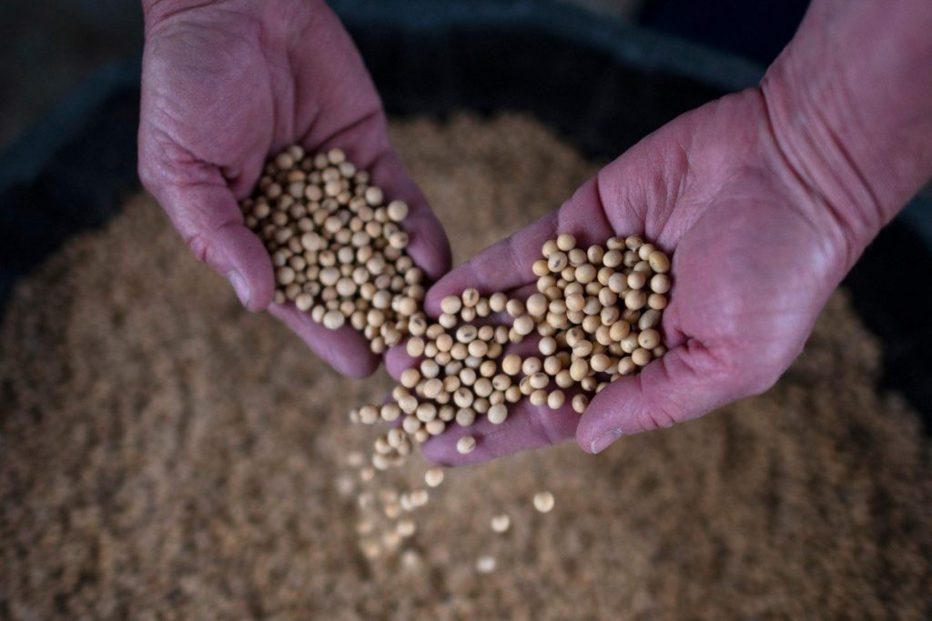 Russia ready to fill China’s food gap left by US in trade war fallout