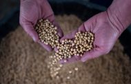 Russia ready to fill China’s food gap left by US in trade war fallout