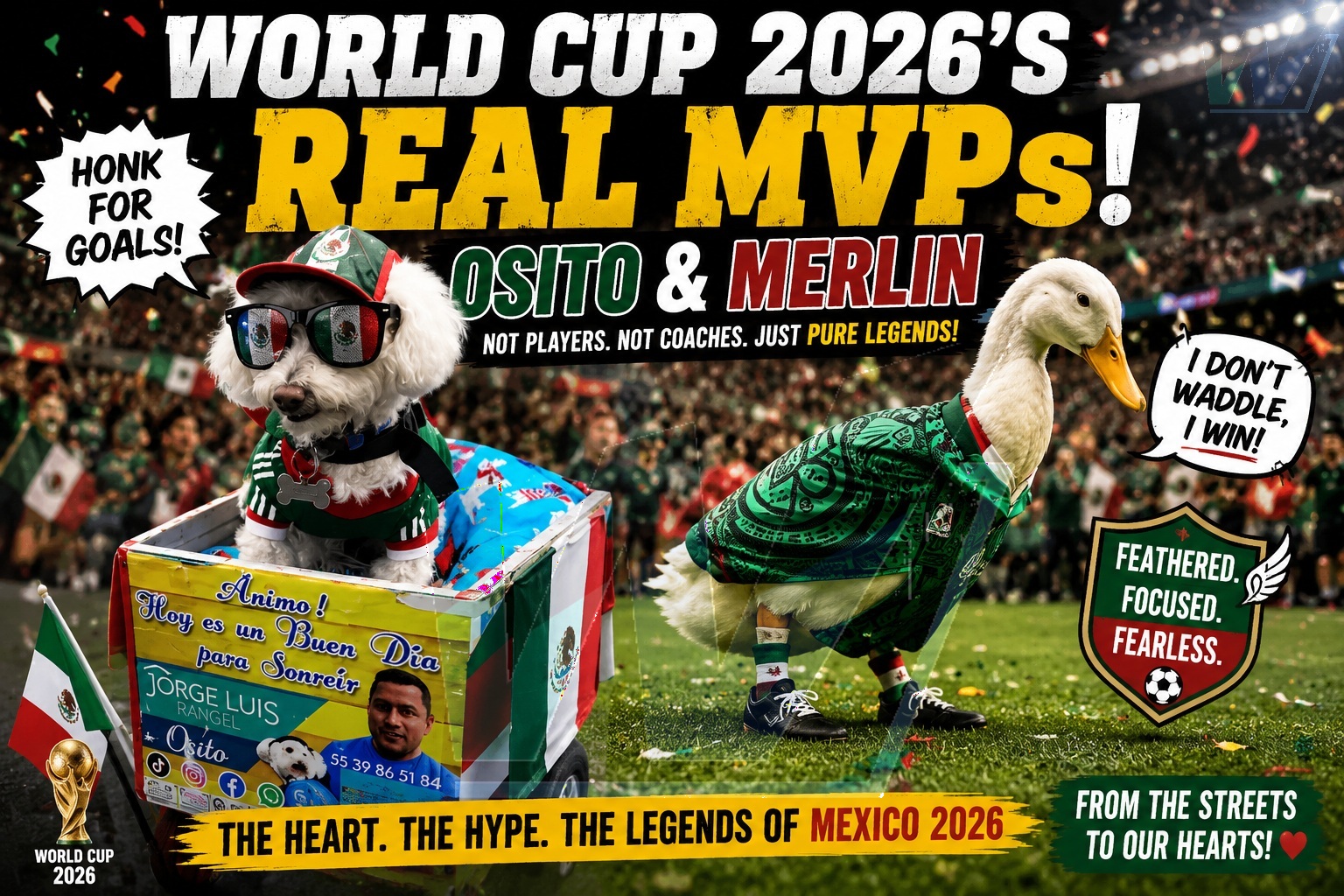 THE REAL STARS OF WORLD Cup 2026?